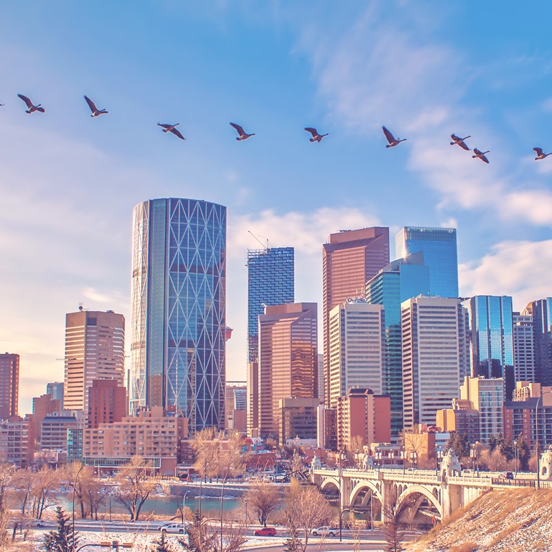 Calgary Infrastructure - Field Law Calgary Law Firm