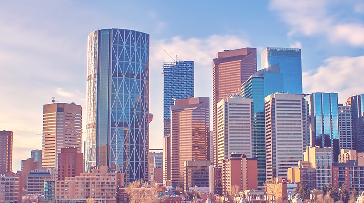 Field Law Calgary