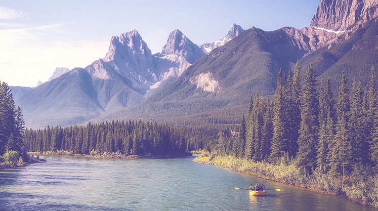 Field Law Canmore